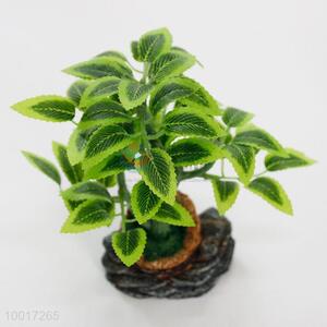 Lifelike Green  Plant Simulation Bonsai