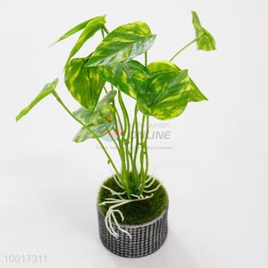 Unique Green Plant  Simulation Bonsai for Indoor Decoration