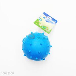 Blue Round Plastic Ball Pet Toy for Dogs/Chew Toys