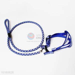 Rolled Round Dog Leather Show Slip Lead Collar Leash