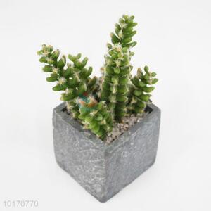 Wholesale New Design Succulent Cactus Artificial Plant