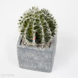 Imitation Artificial Cactus Artificial Succulent Plants wholesale
