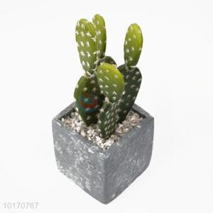 Artificial Cactus Plant with Stone Flower Pot