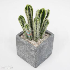 Artificial Cactus Artificial Succulent Plants with Stone Flower Pot