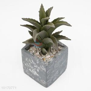 Home Decoration Artificial Succulent Ornamental Plants with Stone Flower Pot
