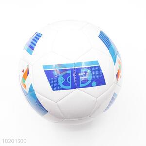 Trendy printing team sports wholesale soccer ball