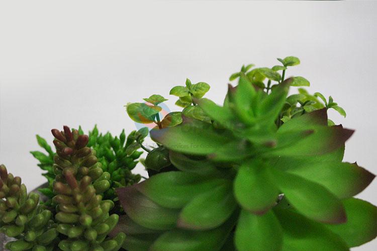 Fancy cheap top sale artificial succulent plants bonsai