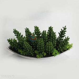 Best selling plastic fake succulent plants bonsai