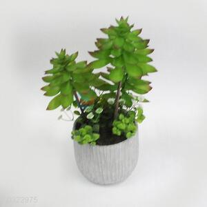 Popular promotional artificial succulent plants bonsai