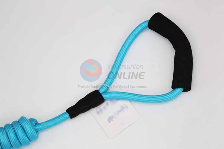 Blue Pet Leash/Dog Collars Leashes