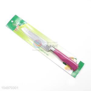China OEM stainless steel fruit knife