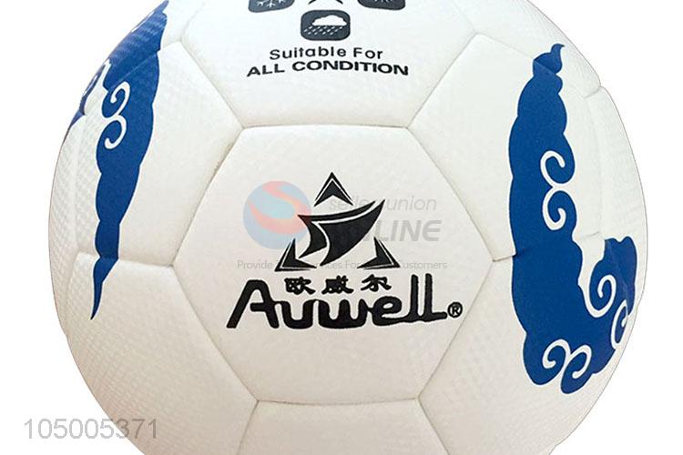 Factory OEM training soccer ball/football standard size 5