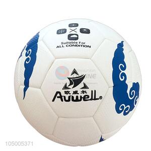 Factory OEM training soccer ball/football standard size 5