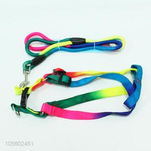 High Quality Colorful Pet Leash for Sale