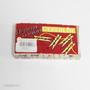 China Factory 24pc Clothes Pegs
