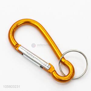 New Advertising Camping Keyring Carabiner for Outdoor Travel
