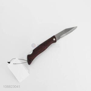 Wholesale kitchen utensils foldable stainless steel fruit knife