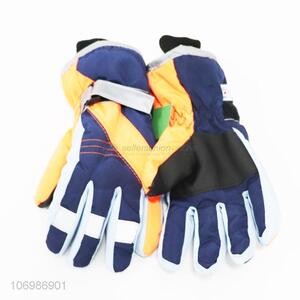 High Sales Outdoor Supplies Waterproof Windproof  Warm Ski Gloves