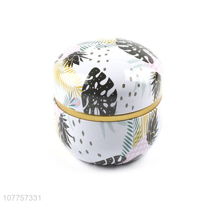 Modern Style Collectables Tin Can Popular Gift Box
