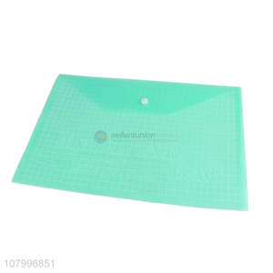 Simple Style Transparent Colorful File Pocket Plastic File Folder