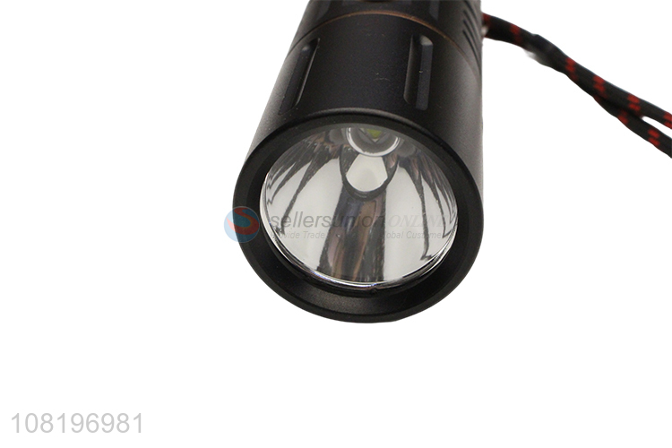 Latest design portable outdoor durable torah flashlight