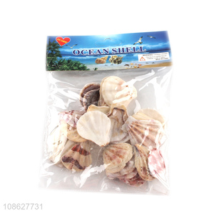 Wholesale shell craft natural shells for fish tank <em>decoration</em>