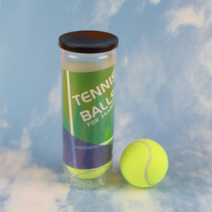 Good price 3pcs sports training tennis ball for outdoor