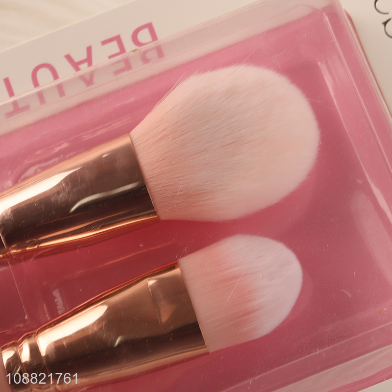 Top quality 2pcs soft makeup brush set powder brush for sale