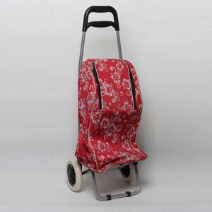 Hot Sale Shopping Trolley/Outdoor Travel Suitcase