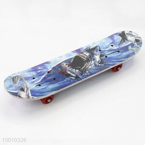 PVC 4-wheel professional skateboard