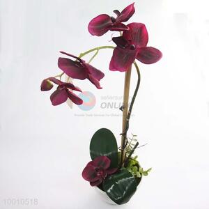 Facotry Wholesale  Artificial Pot Bonsai of Butterfly Orchid