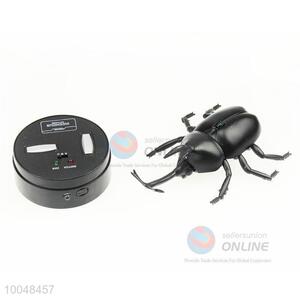 Black electric beetle toy for little boys