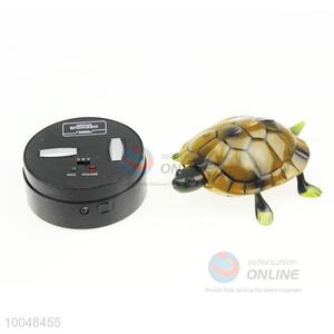 Creative gift electric and remote control  tortoise toy for kids