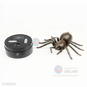 Electric and remote control  spider toy for kids