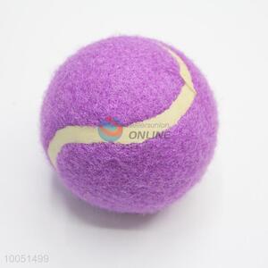 Good quality purple pet ball/outdoor training ball for pet