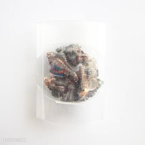 Low price meat snail shells/shell crafts