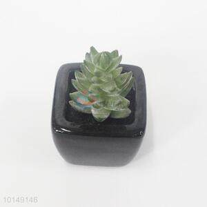 Delicate artificial plant pot succulent pot