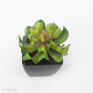 Indoor artificial succulent plants pot