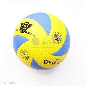 Standard Size Beach Volleyball Ball