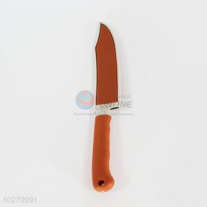 High Quality Stainless Steel Fruit Knife for Home Use