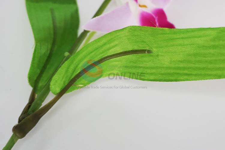 塑料花-杨兰