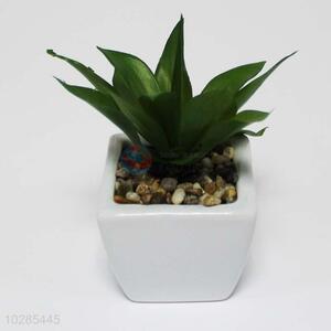 Artificial Plant/Pot Culture