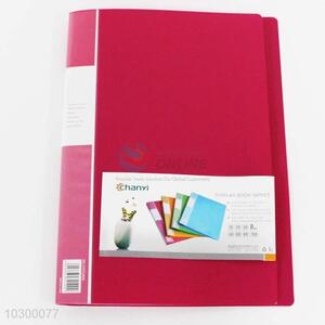 Good Quality 30-page File Folder