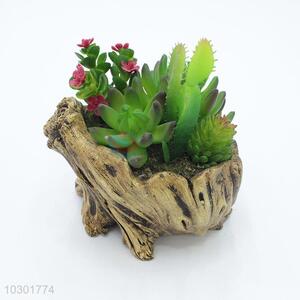Competitive price stump modelling flowerpot fleshy potted plants
