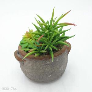 Comfortable artificial succulent plant pot round flowerpot with 2 ears