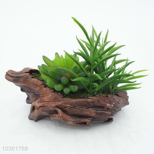 Best Selling Artificial Succulent Plants Home Decoration