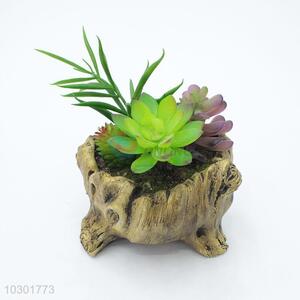 Popular stump modelling flowerpot fleshy potted plants