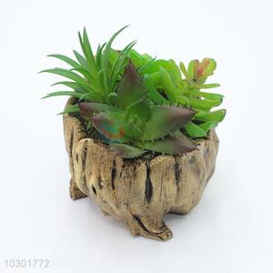 Lovely stump modelling flowerpot succulent plant