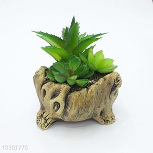 Wholesale stump modelling flowerpot fleshy potted plants