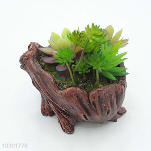 New arrival stump modelling flowerpot succulent plants